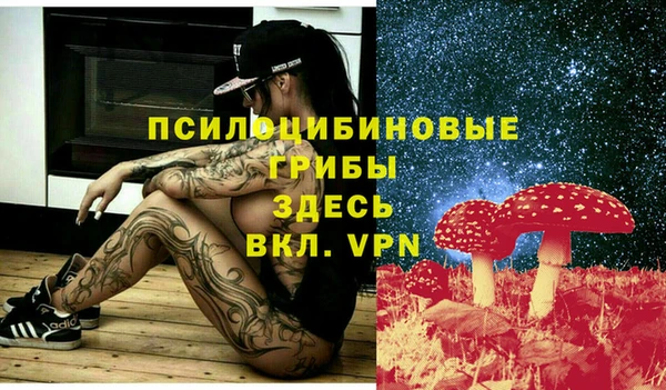 тгк Абдулино