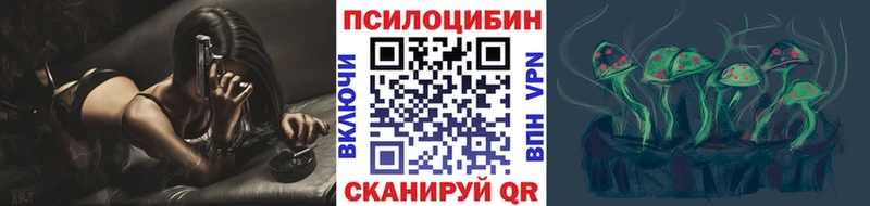 дарнет шоп  маркетплейс как зайти  Галлюциногенные грибы ЛСД  Ак-Довурак 